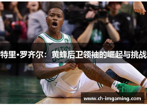 特里·罗齐尔：黄蜂后卫领袖的崛起与挑战